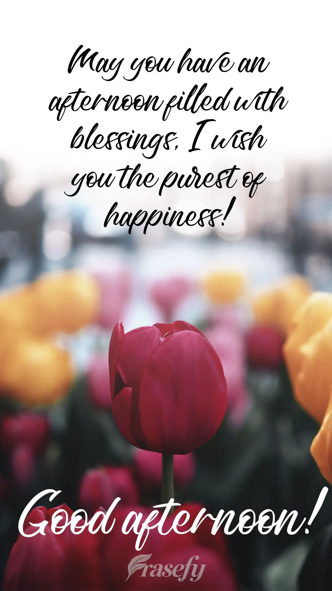 May you have an afternoon filled with blessings. I wish you the purest of happiness!  Good afternoon! 