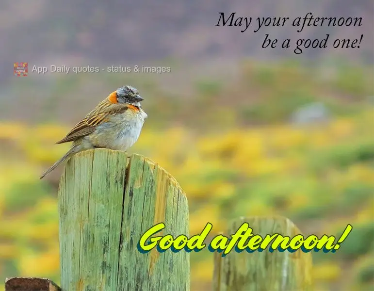 May your afternoon be a good one! Good afternoon!