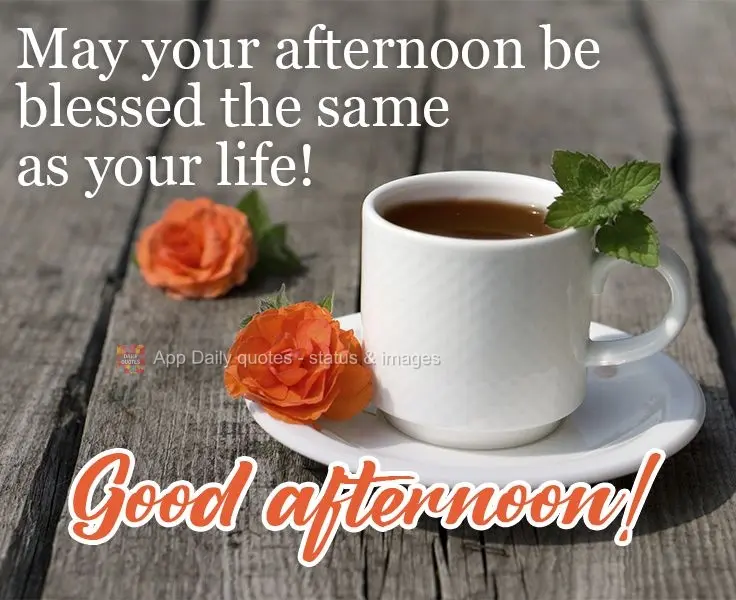 May your afternoon be as blessed as your life!   Good afternoon! 