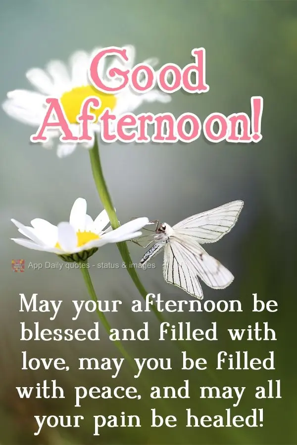 May your afternoon be blessed and filled with love, may you be filled with peace, and may all your pain be healed!  Good afternoon! 