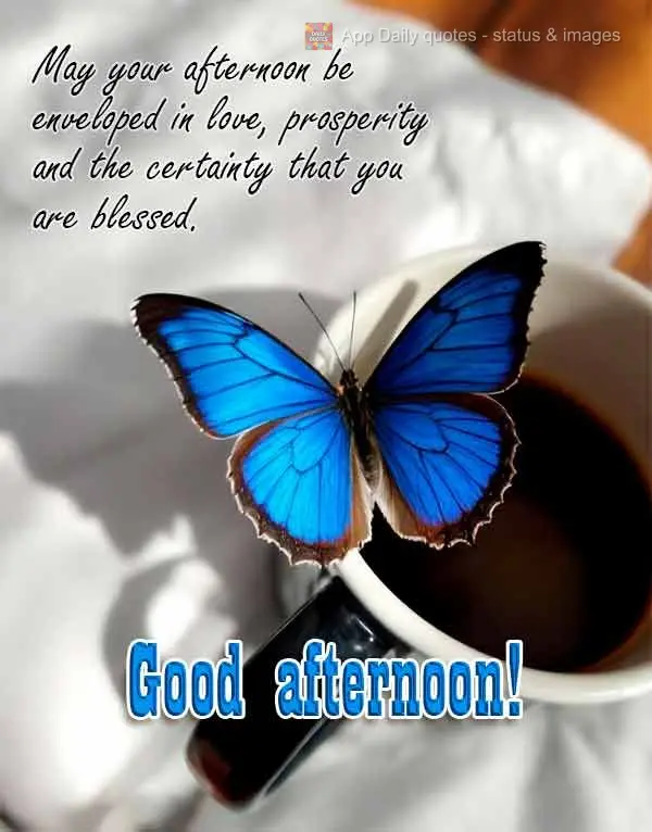 May your afternoon be enveloped in love, prosperity and the certainty that you are blessed. Good afternoon! 