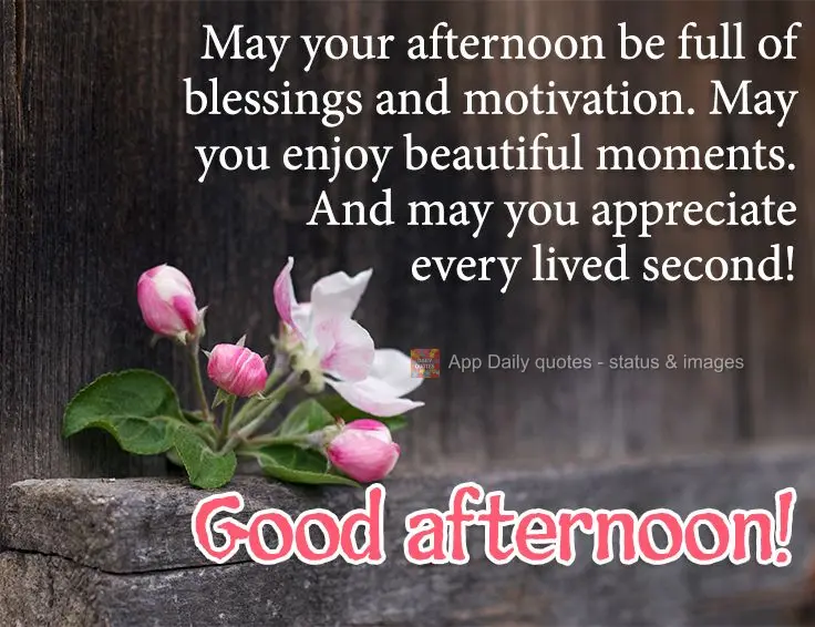 May your afternoon be full of blessings and motivation. May you enjoy beautiful moments. And may you appreciate every lived second! Good afternoon!