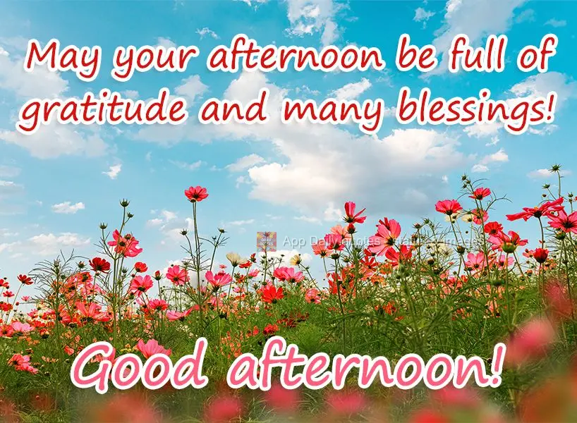 May your afternoon be full of gratitude and many blessings! Good afternoon!