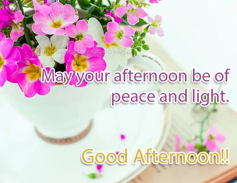 May your afternoon be full of peace and light. Good Afternoon!