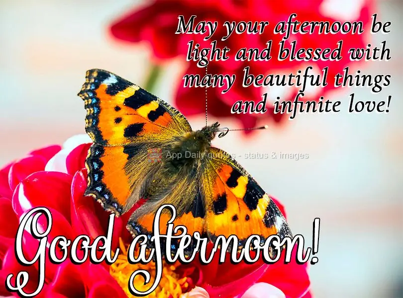 May your afternoon be light and blessed with many beautiful things and infinite love! Good afternoon!