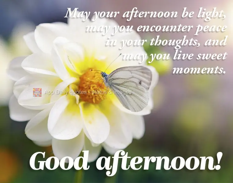 May your afternoon be light, may you encounter peace in your thoughts, and may you live sweet moments. Good afternoon!