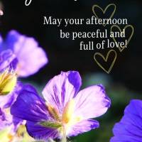 May your afternoon be peaceful and full of love! Good afternoon!