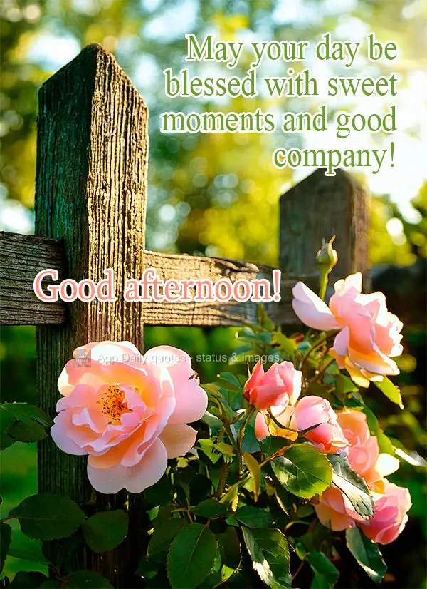 May your day be blessed with sweet moments and good company! Good afternoon!