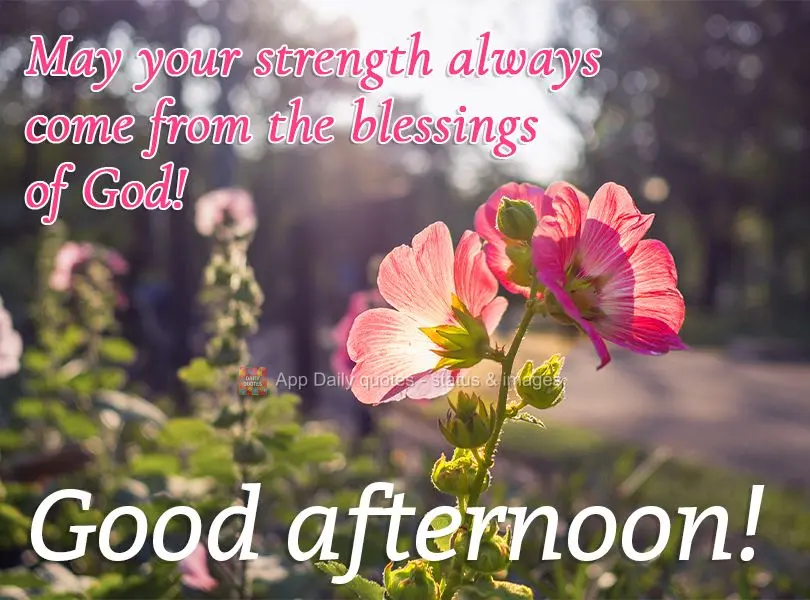 May your strength always come from the blessings of God! Good afternoon!