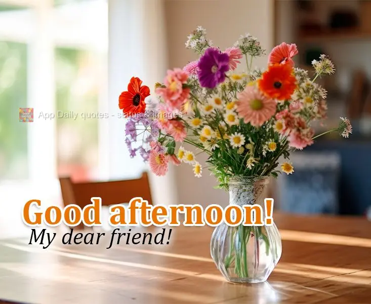 Good afternoon! My dear friend!
