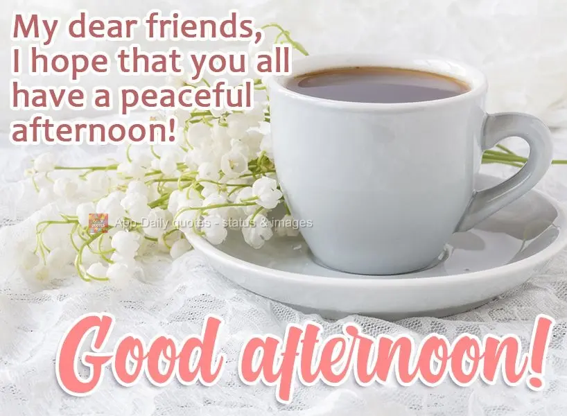 My dear friends, I hope that you all have a peaceful afternoon! Good afternoon!