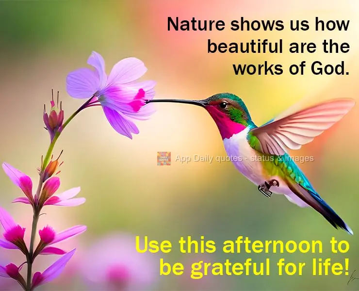 Nature shows us how beautiful are the works of God. Use this afternoon to be grateful for life!