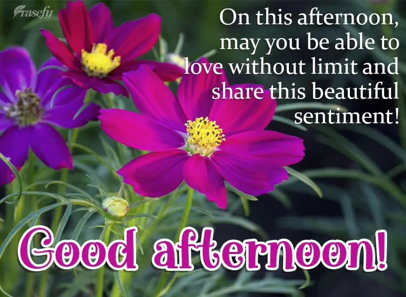 On this afternoon, may you be able to love without limits and share this beautiful sentiment! Good afternoon!