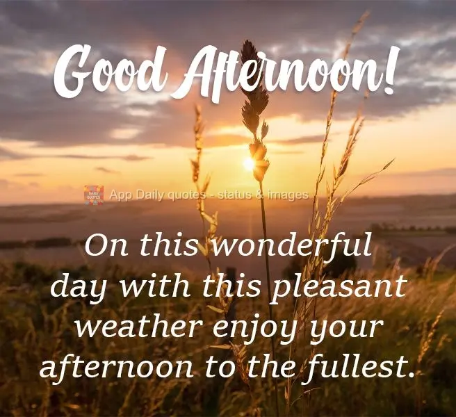 On this wonderful day with such pleasant weather, enjoy your afternoon to the fullest. Good Afternoon!