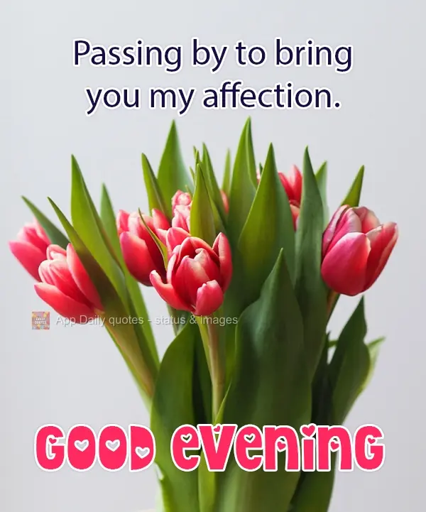 Passing by to bring you my affection. Good Evening!