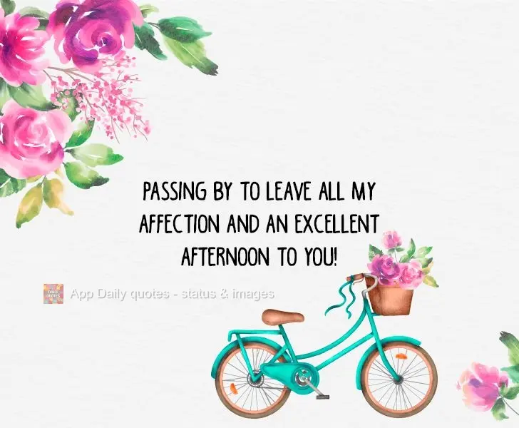 Passing by to leave all my affection and wish you an excellent afternoon!