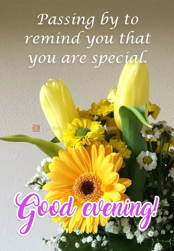 Passing by to remind you that you are special. Good Afternoon!