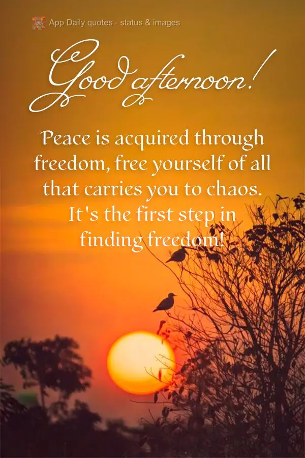 Peace is acquired through freedom, free yourself of all that carries you to chaos. It's the first step in finding freedom! Good afternoon!