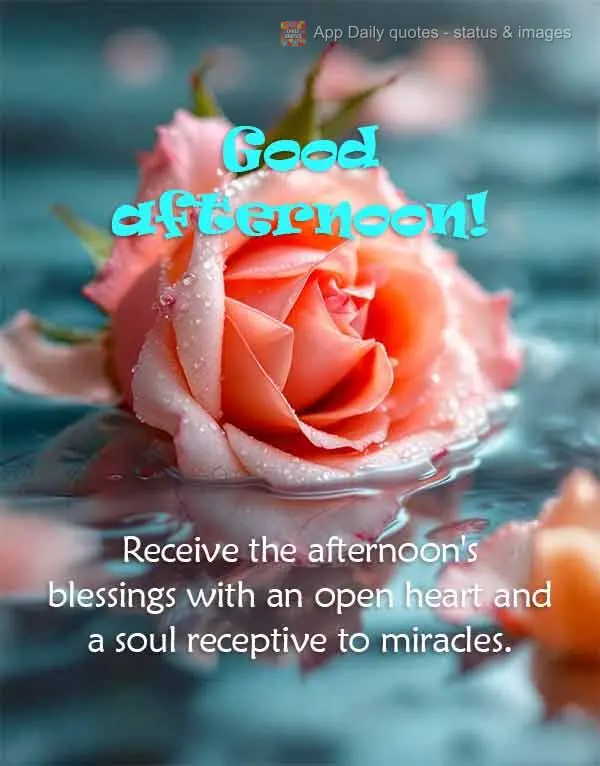 Receive the afternoon's blessings with an open heart and a soul receptive to miracles. Good afternoon! 