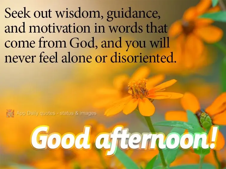 Seek out wisdom, guidance, and motivation in words that come from God, and you will never feel alone or disoriented.  Good afternoon! 