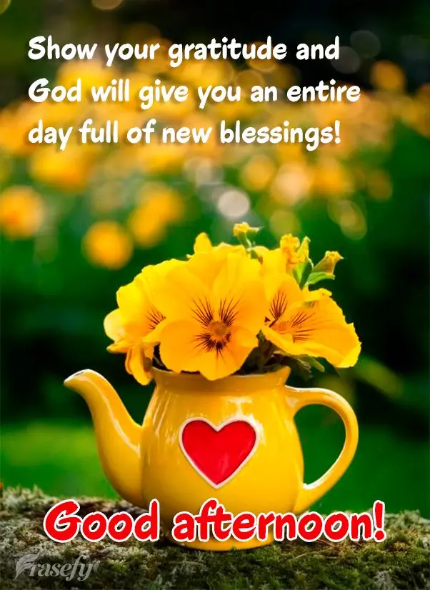 Show your gratitude and God will give you an entire day full of new blessings! Good afternoon!