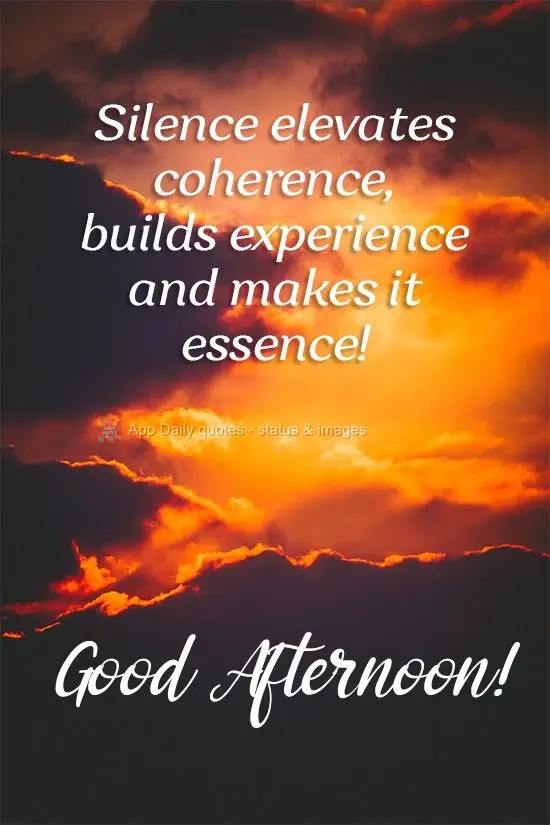 Silence elevates coherence, builds experience, and turns  it into essence! Good Afternoon!