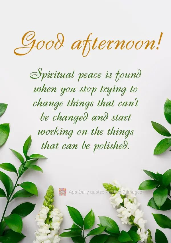 Spiritual peace is found when you stop trying to change things that can't be changed and start working on the things that can be polished. Good afternoon...