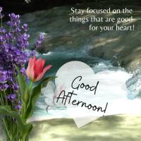 Stay focused on the things that are good for your heart! Good afternoon!