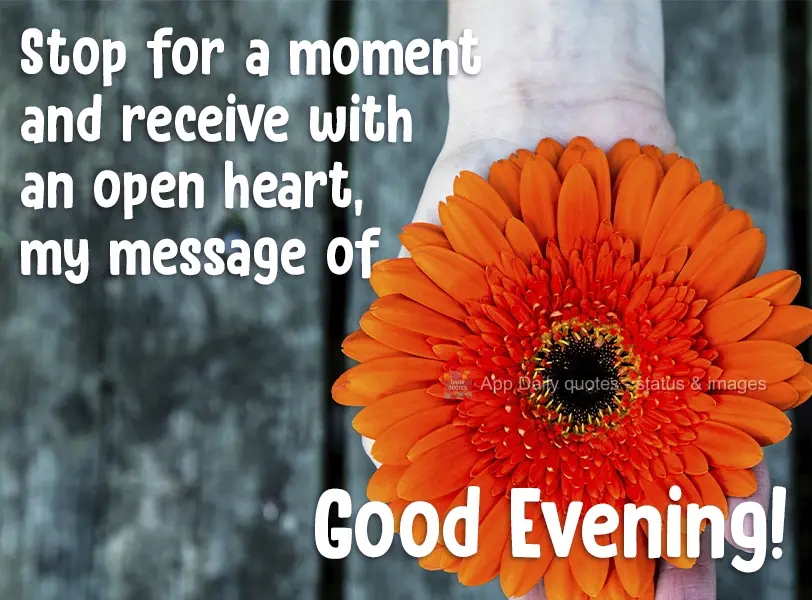 Stop for a moment and receive with an open heart, my message of Good Afternoon!
