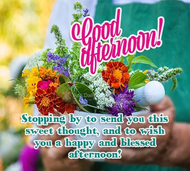 Stopping by to send you this sweet thought, and to wish you a happy and blessed afternoon! Good afternoon!