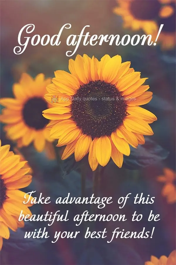 Take advantage of this beautiful afternoon to be with your best friends! Good afternoon!