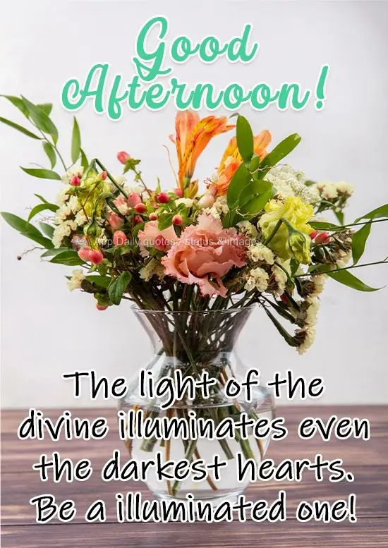 The light of the divine illuminates even the darkest hearts. Be an illuminated one! Good Afternoon!