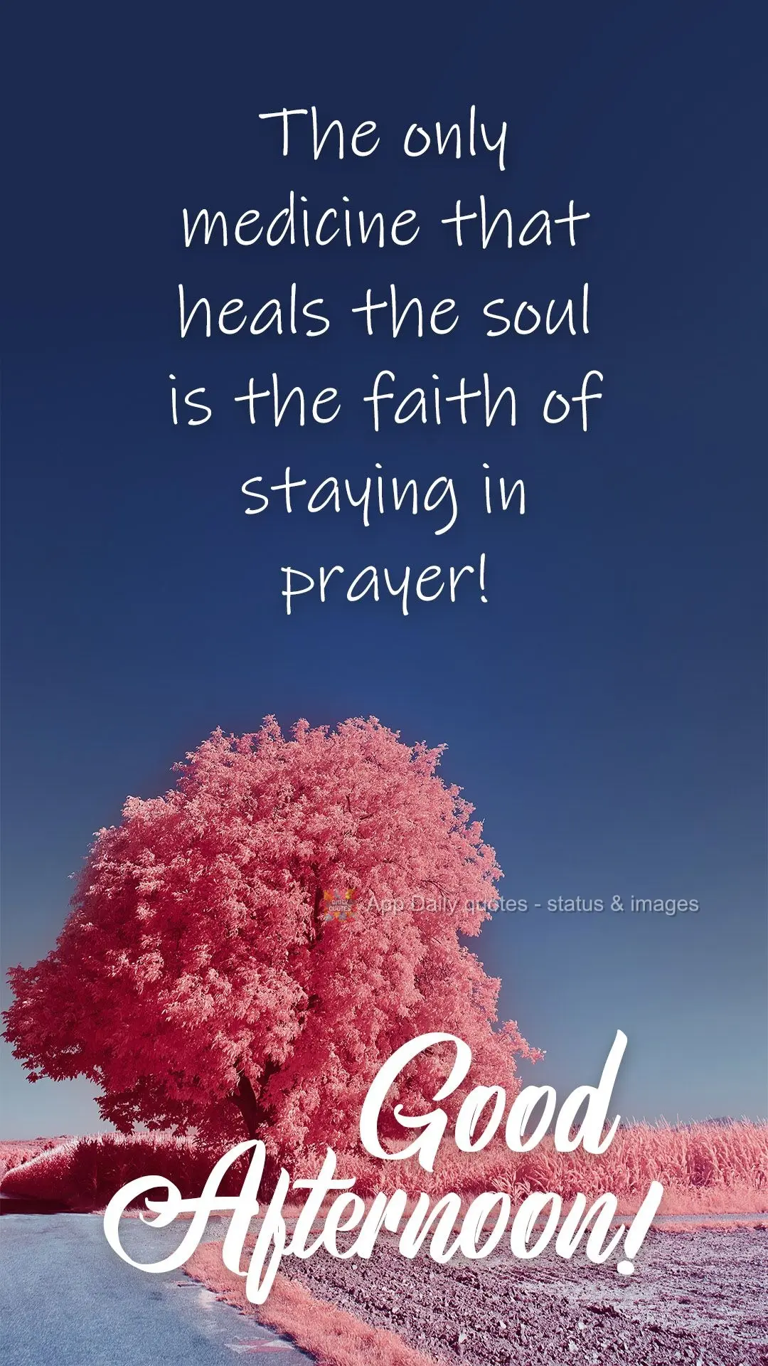 The only medicine that heals the soul is the faith have in prayer!  Good afternoon! 