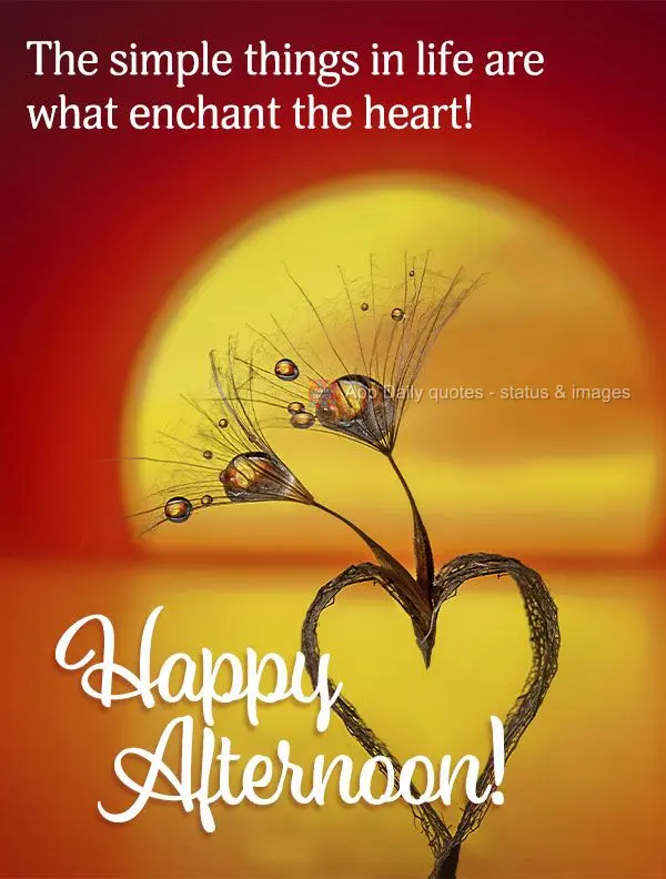The simple things in life are what enchant our hearts! Happy afternoon!