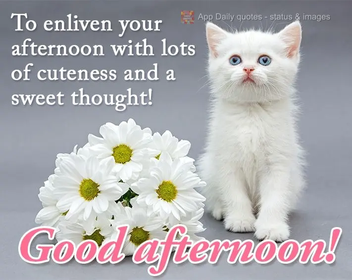 To enliven your afternoon with lots of cuteness and a sweet thought! Good afternoon!