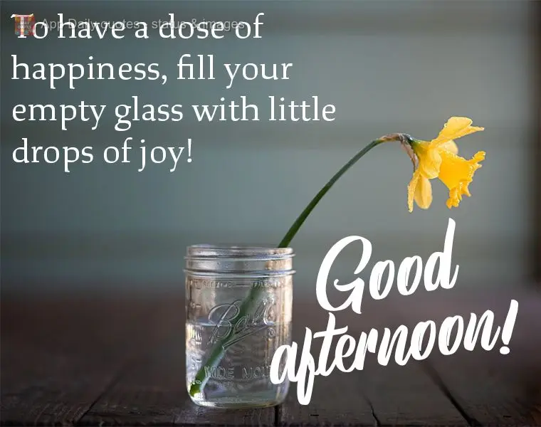 To have a dose of happiness, fill your empty glass with little drops of joy! Good afternoon!