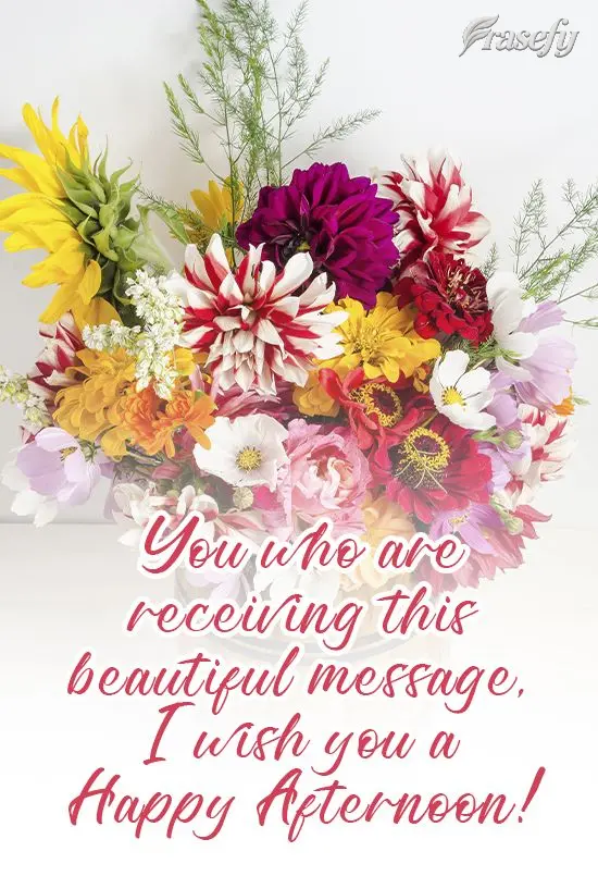 To the one who is receiving this beautiful message, I wish you a Happy Afternoon!