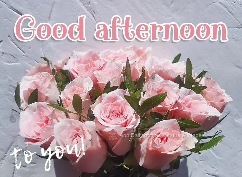 Good afternoon to you!
