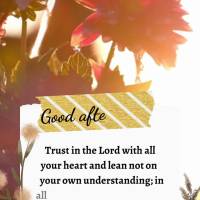 Trust in the Lord with all your heart and lean not on your own understanding; in all your ways acknowledge Him, and he will direct your paths. Good after...