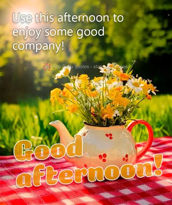Use this afternoon to enjoy some good company! Good afternoon!
