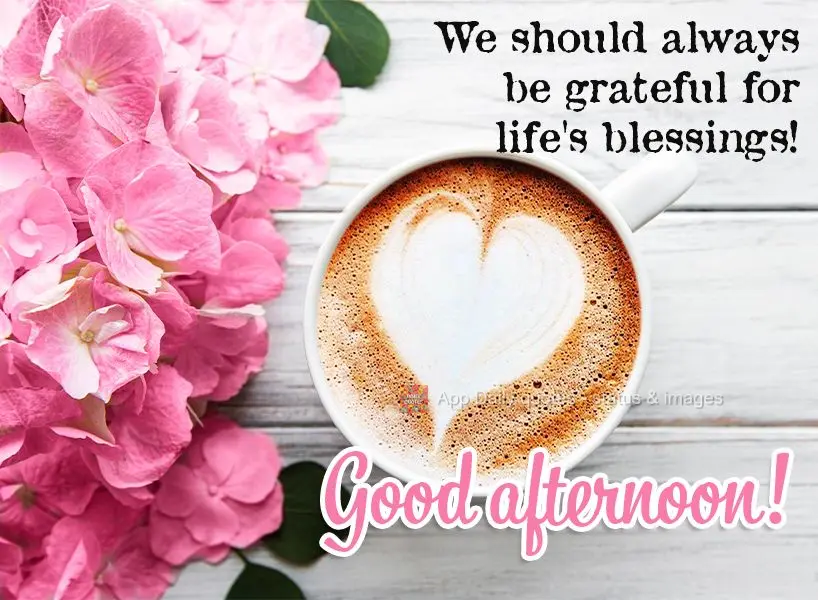 We should always be grateful for life's blessings! Good afternoon!