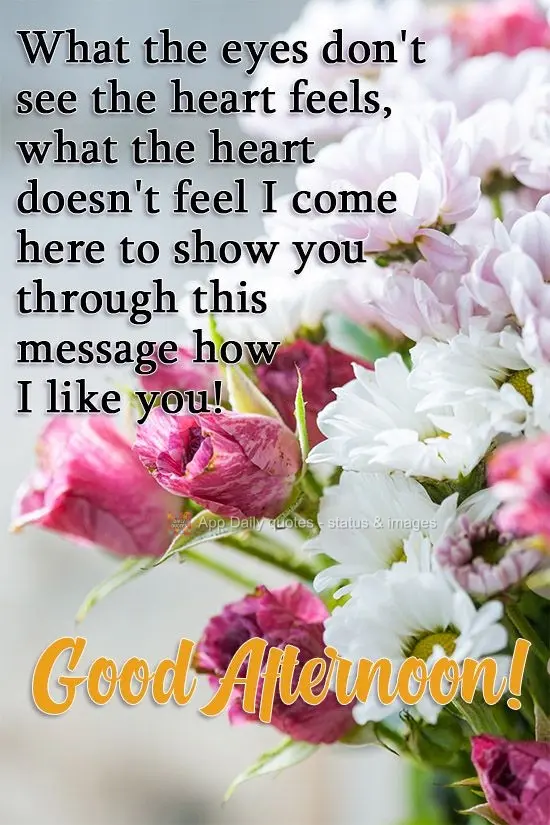 What the eyes don't see, the heart feels. What the heart doesn't feel, I am here to show you with this message of how much I like you! Good Afternoon!