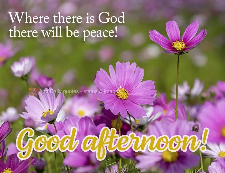 Where there is God there is peace! Good afternoon!