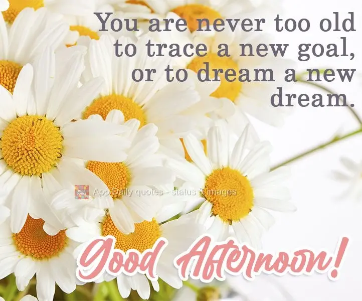 You are never too old to define a new goal or to dream a new dream. Good Afternoon!