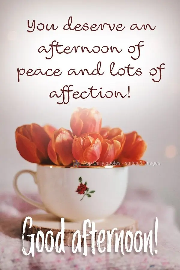 You deserve an afternoon of peace and lots of affection! Good afternoon!