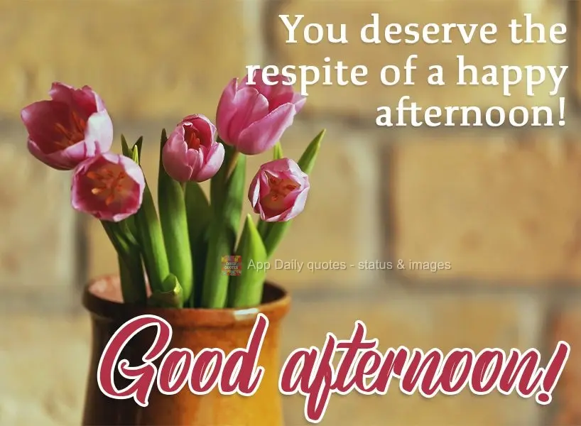 You deserve the respite of a happy afternoon! Good afternoon!