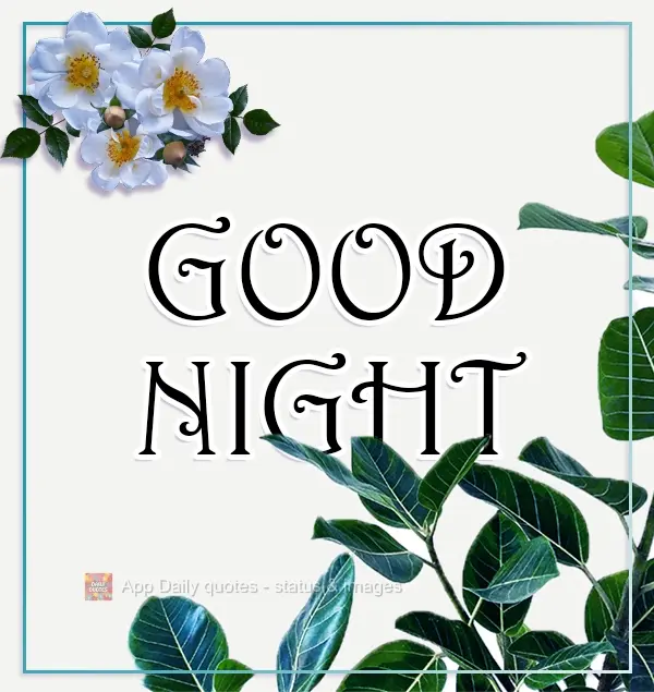 GOOD NIGHT