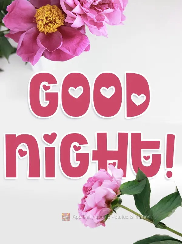 GOOD NIGHT
