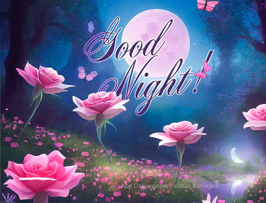 Good night!