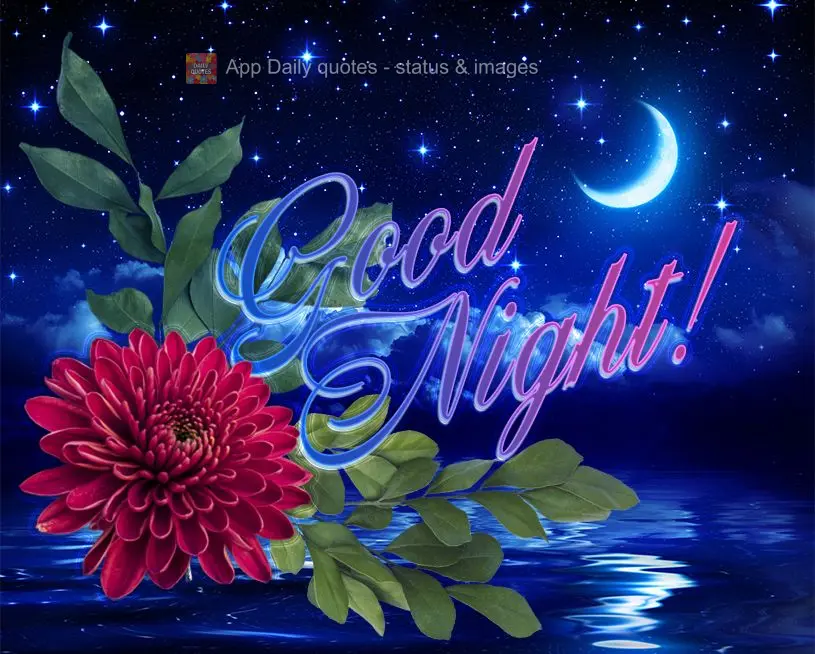 Good night!